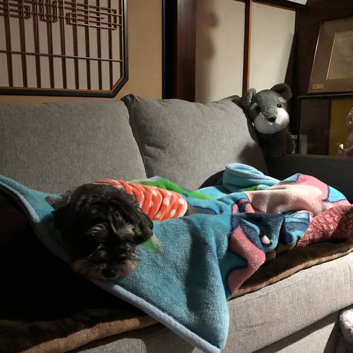 A183d06f 37ef 45b2 8243 6e97893f0e4f 1575635070959