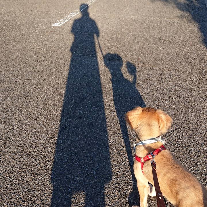 A18403e4 7898 4d42 867b 42c248d85556 1561414523582