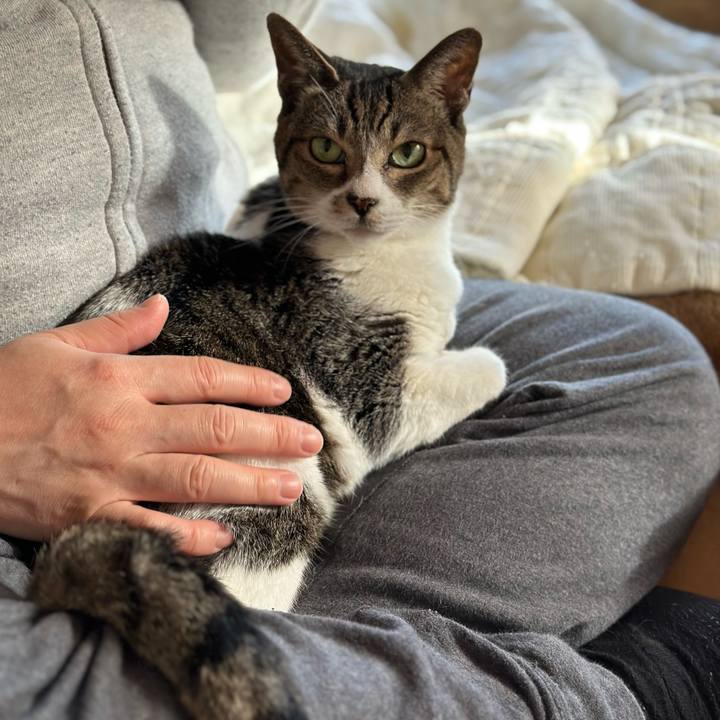 A1842949 b72c 42fe a850 abcb650857a9 1672011249348