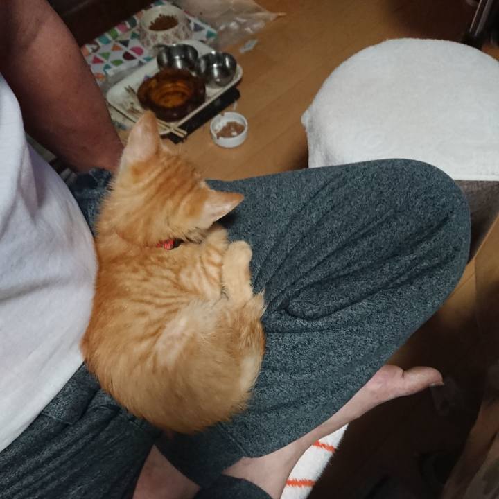 A1848dd3 6cc6 4d92 a72c 87bde4376989 1629406171543