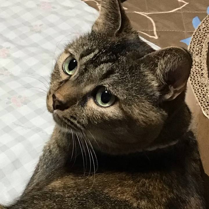 A184fb30 9084 498a aae7 86bd2f2b00b4 1727510071539