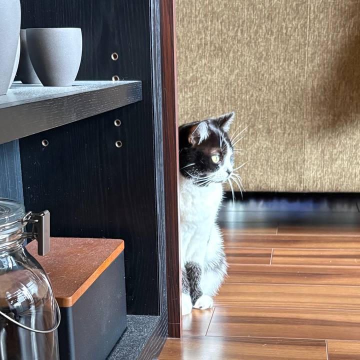 A184fdfa c65f 4ca4 8e0f 36edd306f258 1767406155110