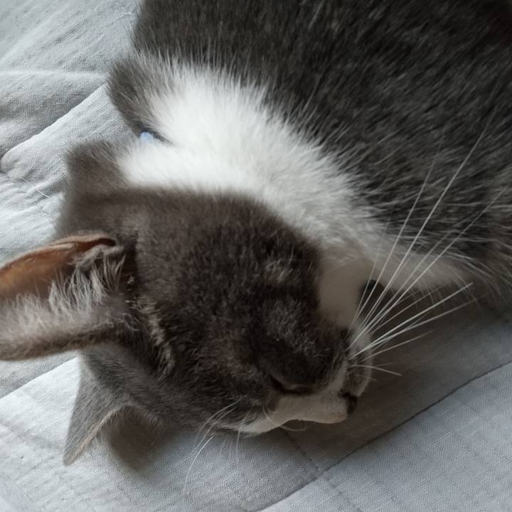 A18516a8 0718 48b5 bd31 f4d89809c50a 1601938901198