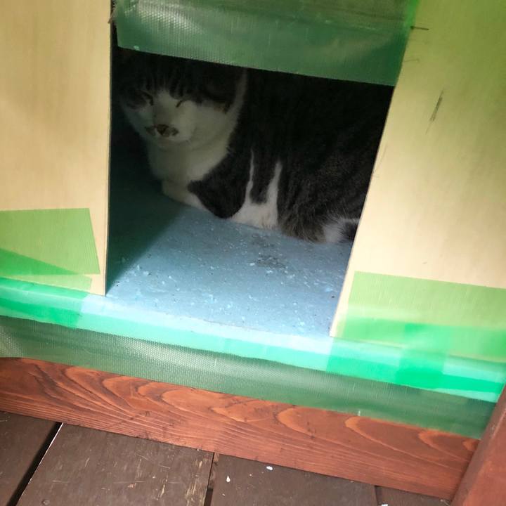 A1852551 f1c0 47ff b083 cc1de1b9015a 1516601755762