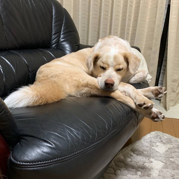 A1854d5e 40a2 4879 a7f6 6b7e2a4e8fec 1556979819944