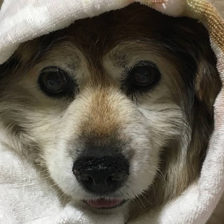 A18551cb e97f 4076 aef7 dc51bb60e32f 1591655354693