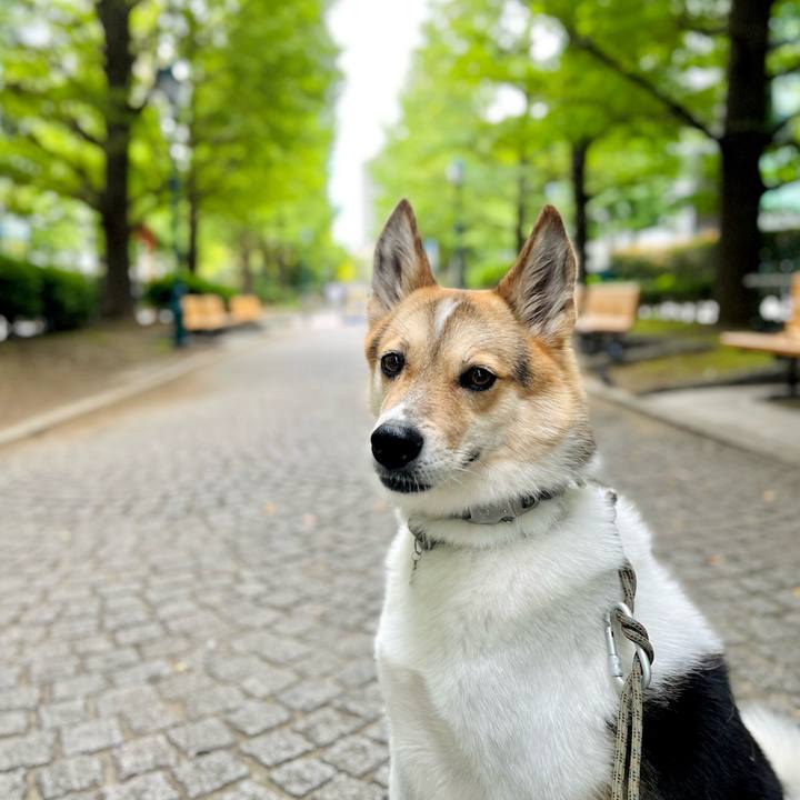 A1857209 cdda 43a0 9198 b6eabed4f898 1759189200025