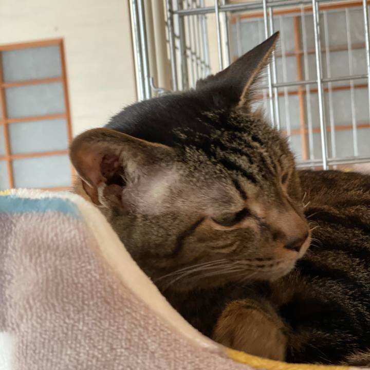 A18574bd a572 4c5b bb58 d929cd56193a 1618191632855