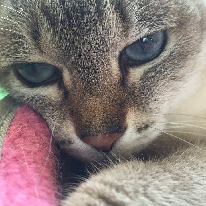 A1859a7a 5e84 4c23 8a01 2bc231212e8c 1552628214611