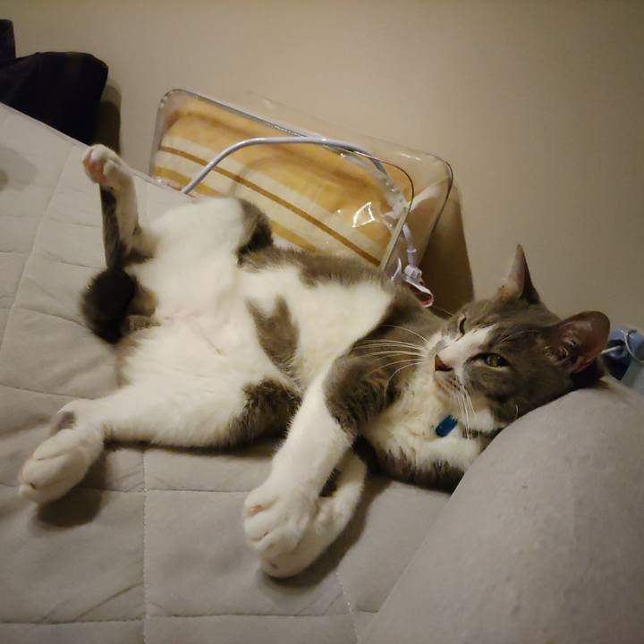 A185b6c8 6d4a 46ec ab02 06760a3bbd25 1695041640228