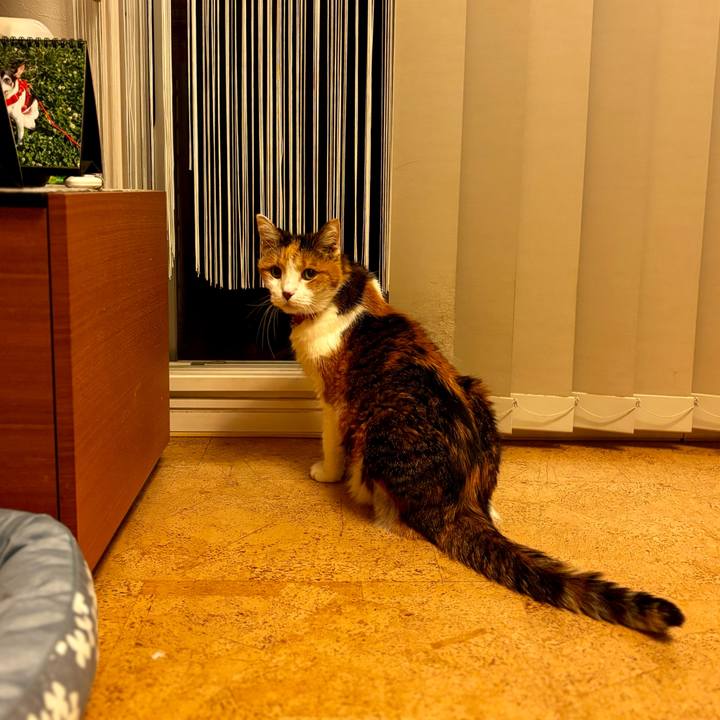 A185e67b 9b52 49f5 b526 a253807a45dd 1717330118446