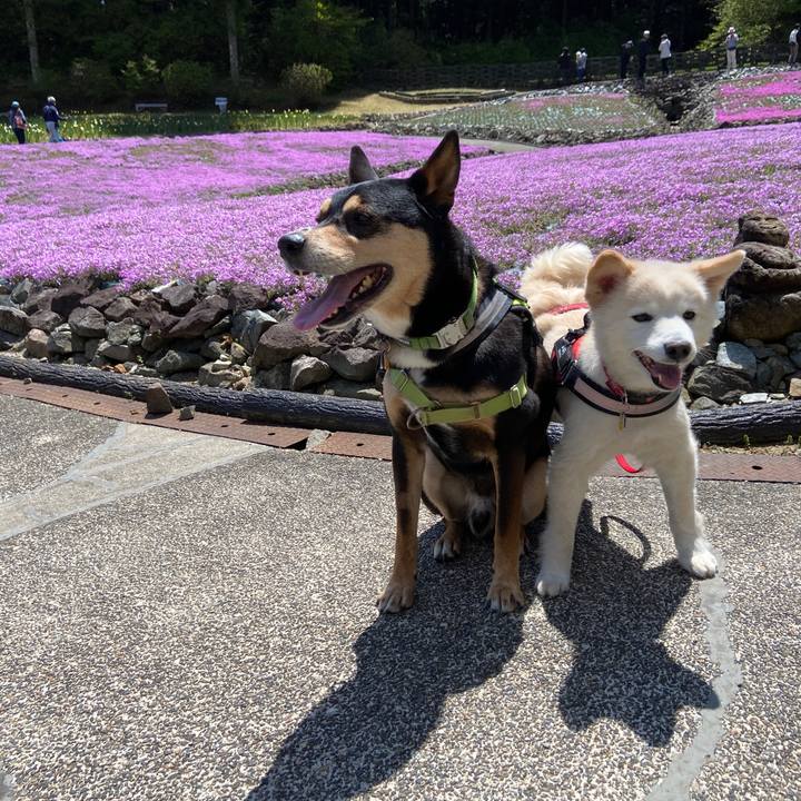 A185e9af b8a9 443f a712 c8a9d1ba74ce 1682636012551