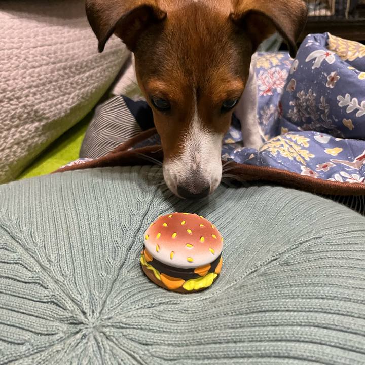 A1861470 a14e 461a bd6e 43dc54ccb0b6 1761191865711