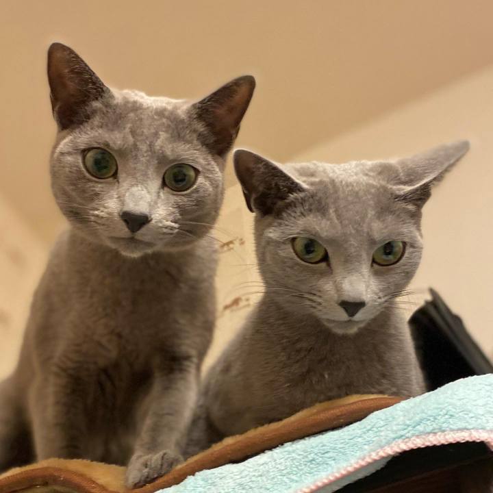 A1861dff 4ab8 4ebf b2bb e2198b165659 1646005408964