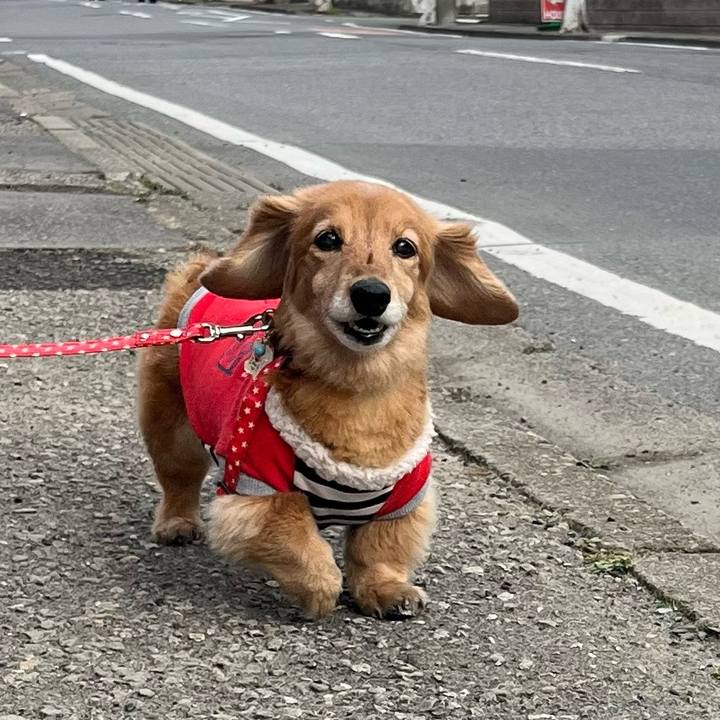 A1862ac7 3ebb 4e00 8864 ff8ef46a5fb8 1643537365908