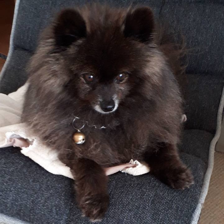 A186311d a765 4e5d adec 416fdaaa982c 1522208927681