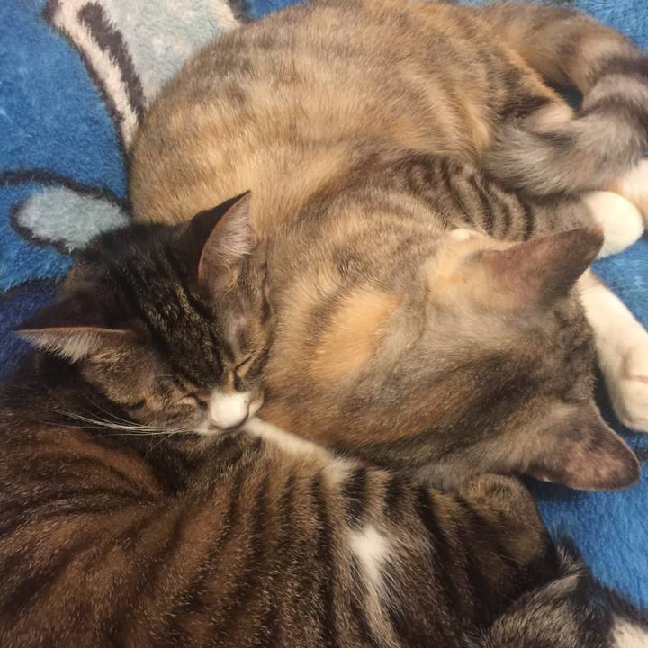 A1865229 be72 406f 8331 5bb4cfef06f6 1571917365596