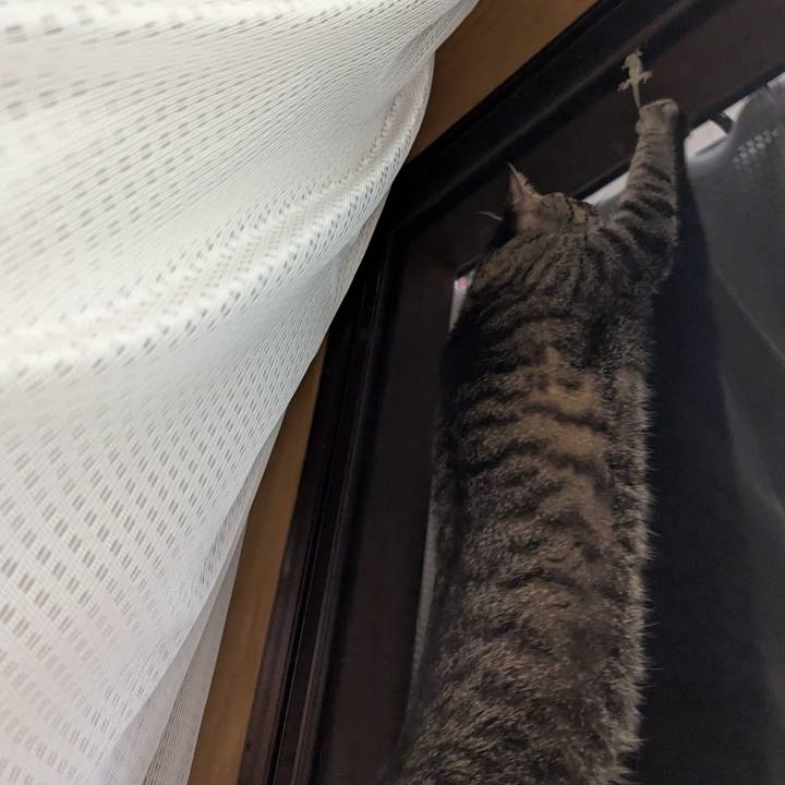 A18668a1 3069 4c8a bce3 f4401c9e78d2 1752044755924