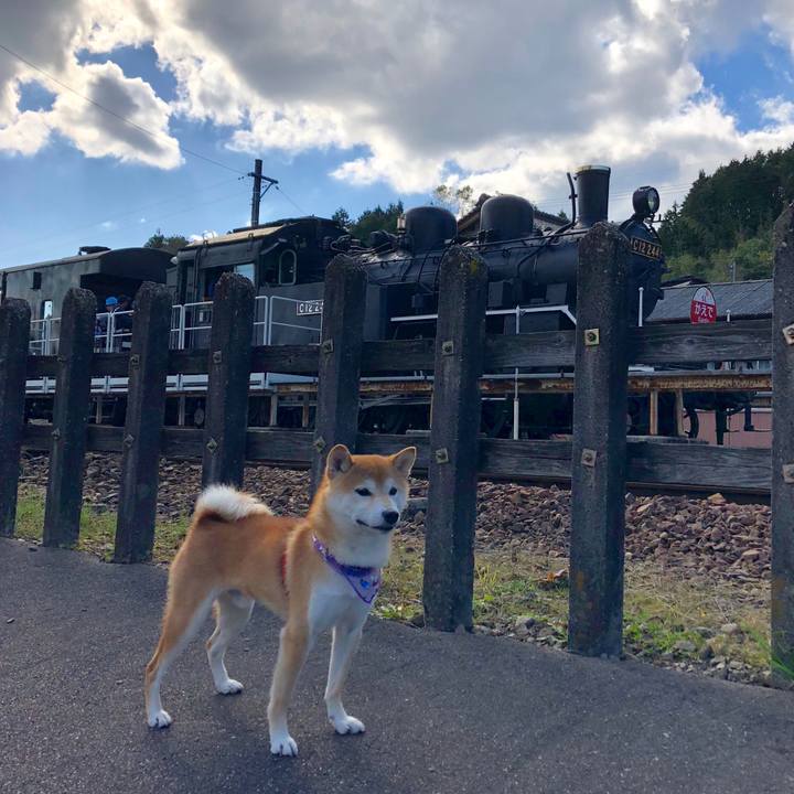 A186a900 76b8 4eb0 ae0d 558076ebb202 1540709284437