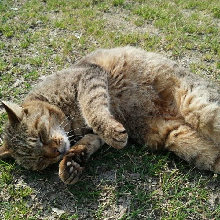 A186b7b3 6acc 4ff4 92c2 5b8afe63d3b3 1522725612323