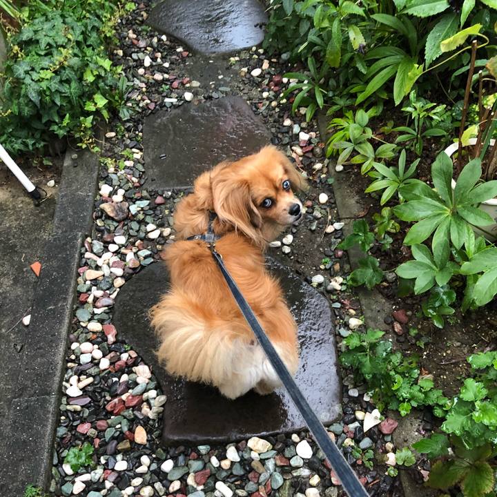 A186cbb3 39ec 4419 bf98 889d6912f03c 1568758528731