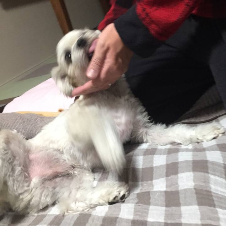 A1877812 26c5 46a7 9e91 c45462468f12 1518736098536