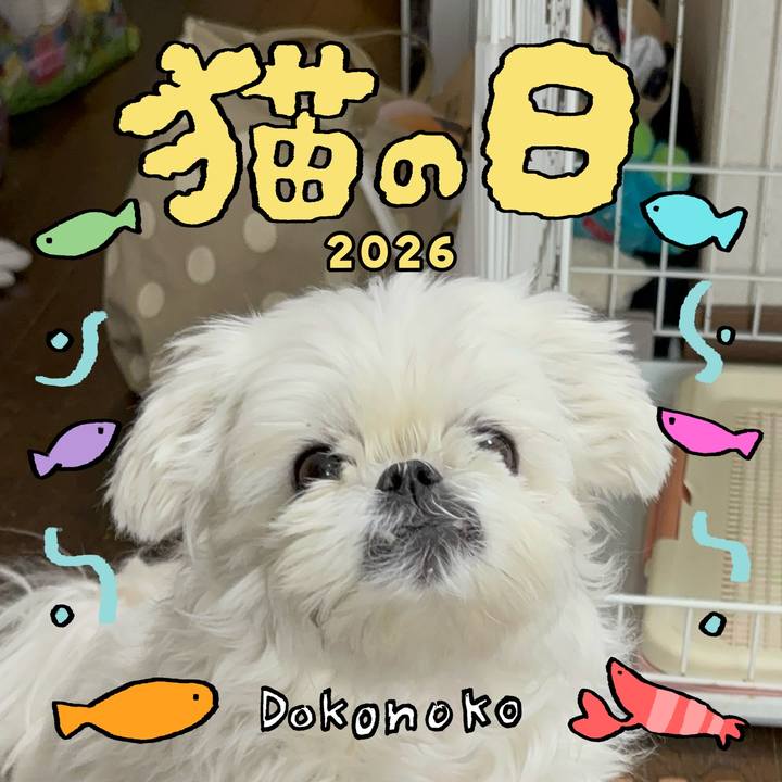 A187bdd9 8a12 473d 9914 d2e17e48bfcb 1771752146070