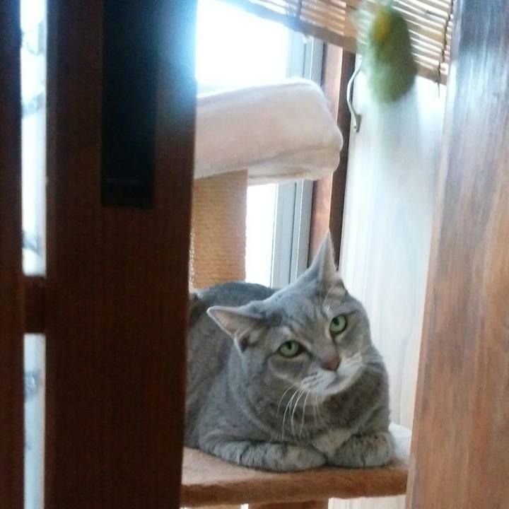 A187f1f5 3472 4066 b4f3 4afdec8b15d3 1540220144977