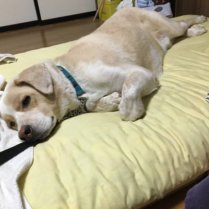 A188013e cd48 442a a59a 3b7795873c26 1536158742130