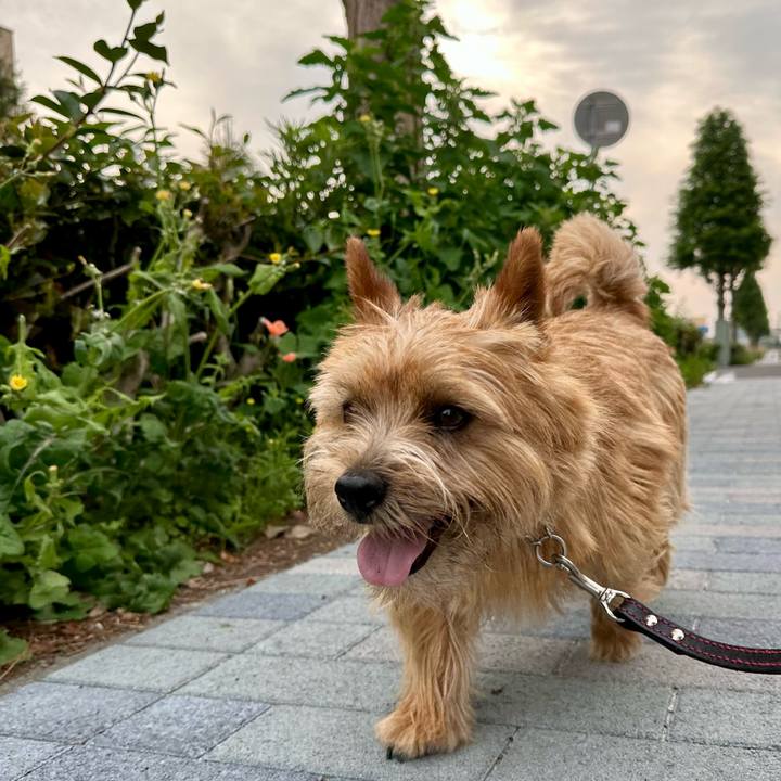 A188013f a27d 4764 92d7 aee39368323c 1747357439454