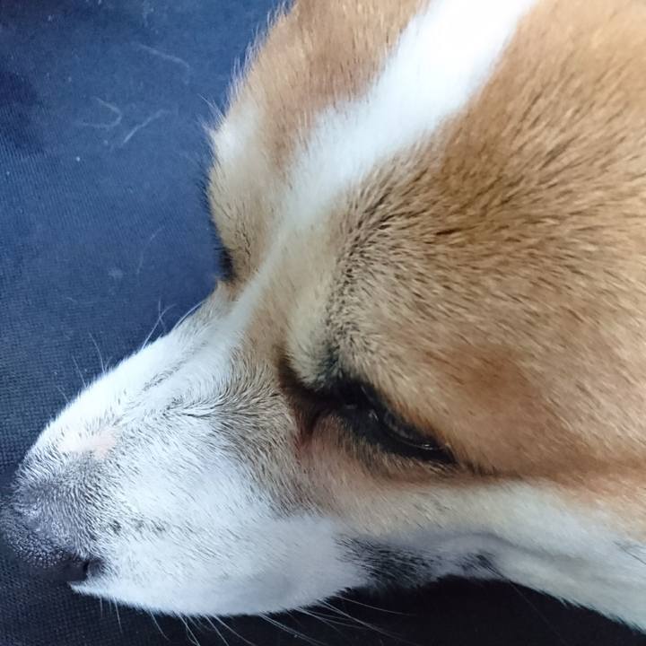 A1882507 ffd5 4111 b395 9e6a4fb754e4 1670728075977