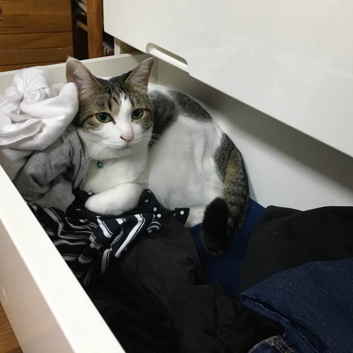 A1882ab8 36c3 439a 9bea 4d1126f96532 1511939311378