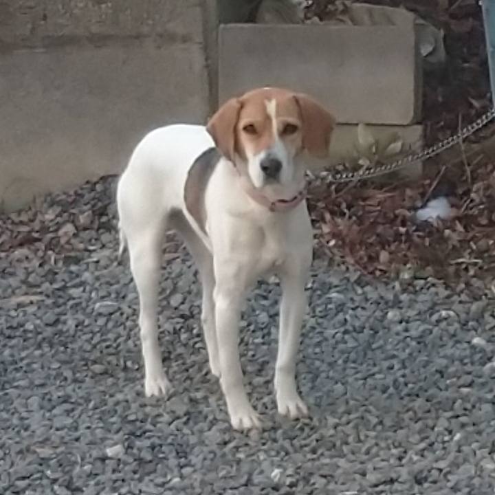 A18834ca 2a50 4543 8453 cd54ba49062a 1580351875174