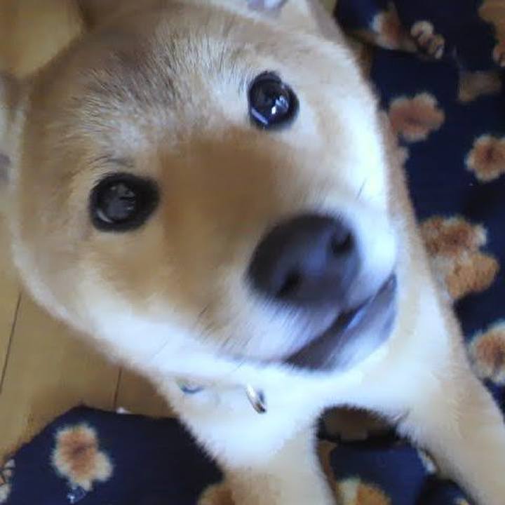 A1885bbb 56c0 44ff 80d2 e97650f58e4a 1773495014234