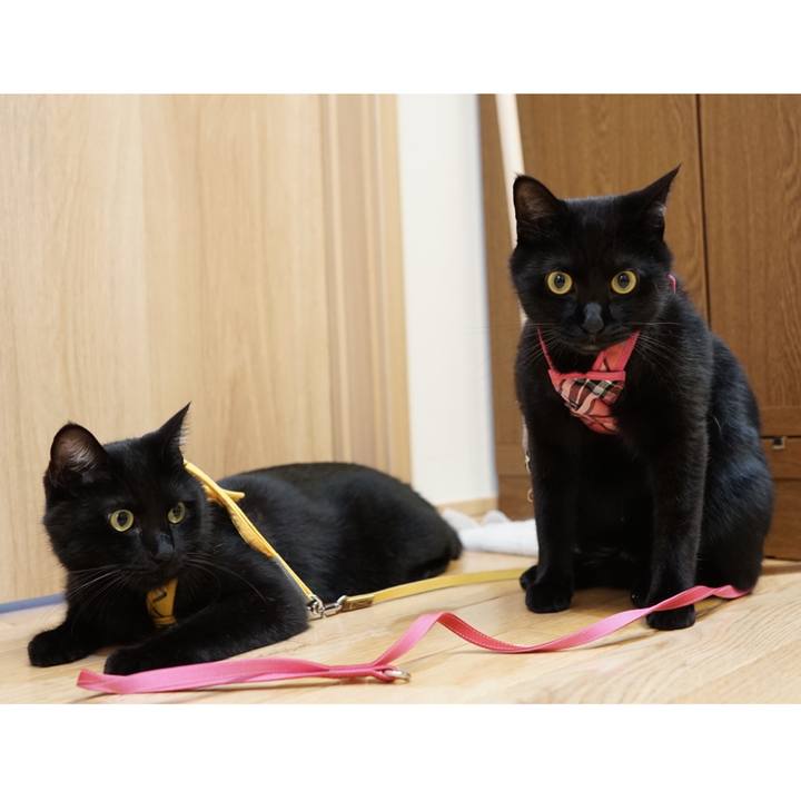 A18882e7 e727 4361 8adc a25855da2473 1565428375577