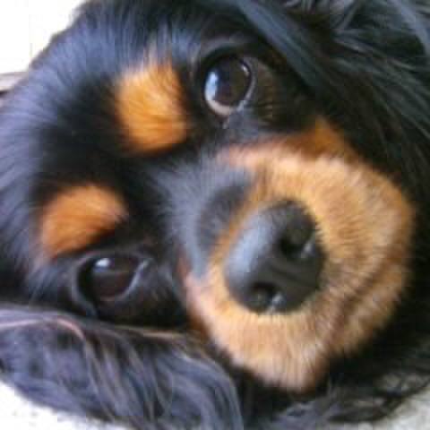 A1888def ee83 4d3a af0c 091cf00a425c 1515848233432