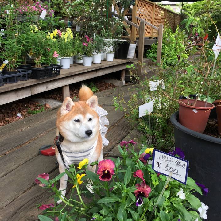 A188bc95 4888 4d18 a753 db6864772f03 1524542321086