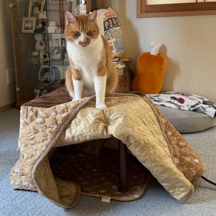 A188d2bc 17a0 4899 821f cebc8420f0f6 1765852189585