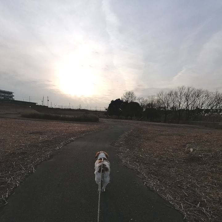 A1891c28 799f 4e6a bc0d e802234b4676 1579176818123