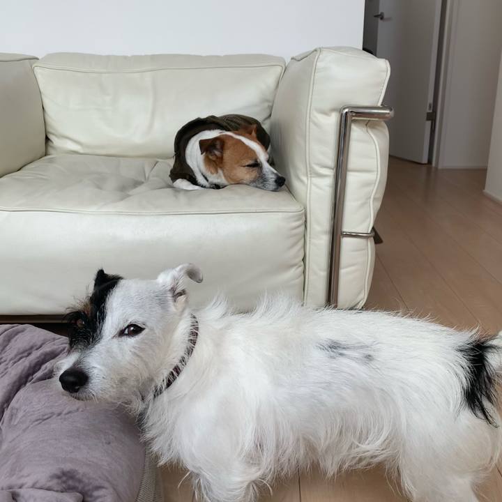 A1892cfe 0621 4756 9c79 de2708515f16 1606455806645