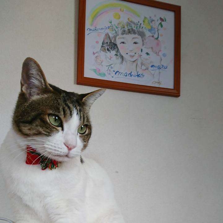 A18945ee 5c75 4407 a92f 00fdbc807bc3 1511090119596