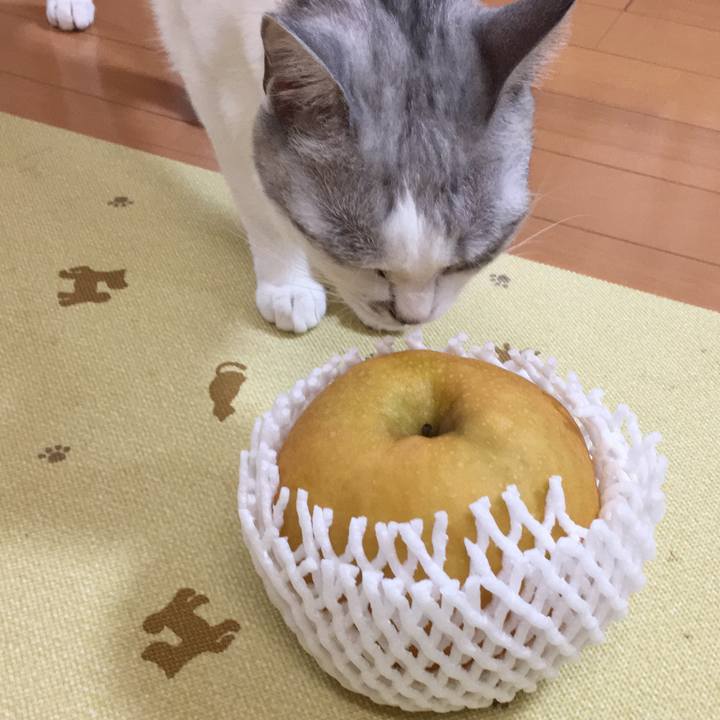 A1895629 491f 4067 85d9 f88d51f605c8 1508059693125