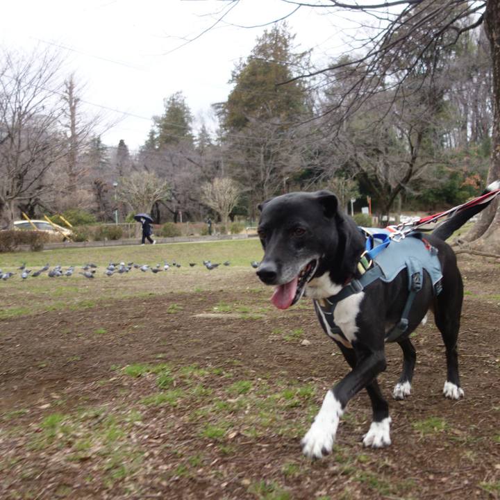 A189608f af68 4ff2 8515 afee5a636d3c 1710207227018