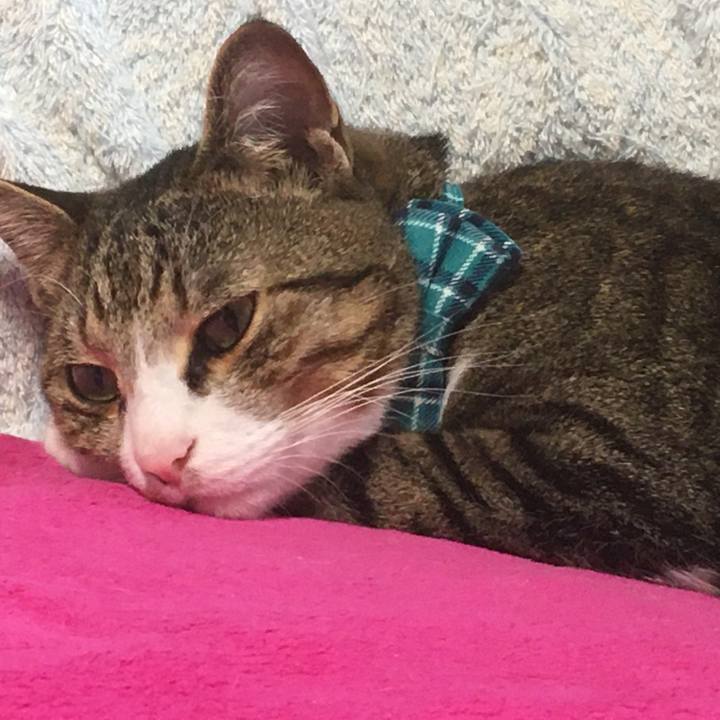 A1897764 65ff 4f47 8c1c f6f8980aeef3 1668609994478