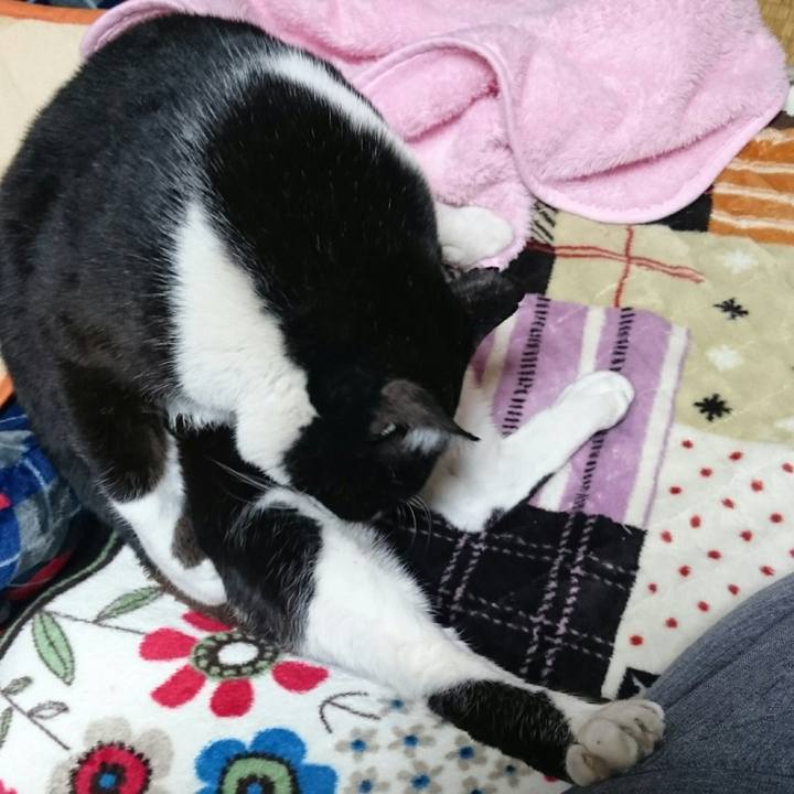 A1899238 2872 490f ad7d 620ff5e98a6f 1512556947735