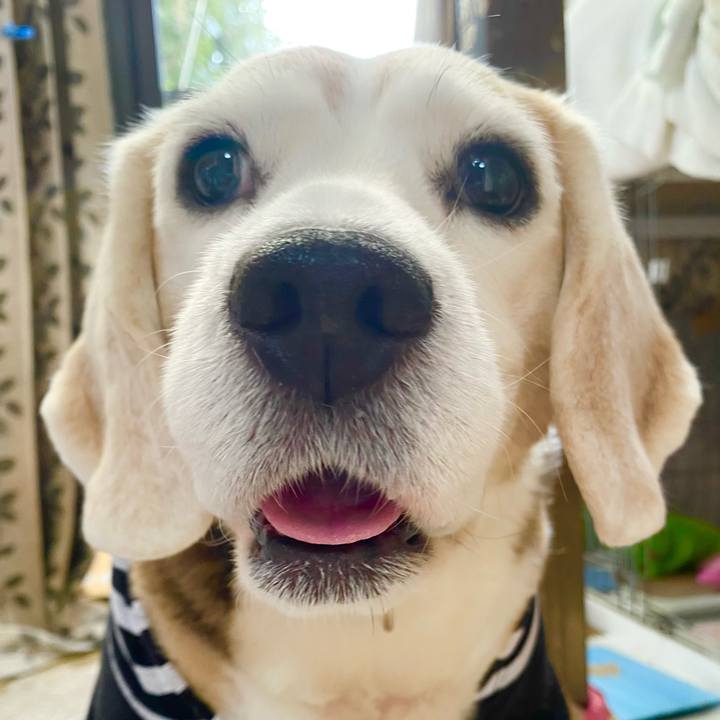 A189b44a 5eb7 4abb a265 e498ae559e2a 1646454270414