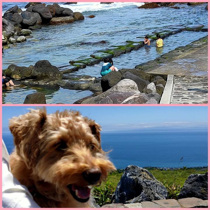 A18a0c7f e7df 4c3b a35e 245ca034a281 1592723601159