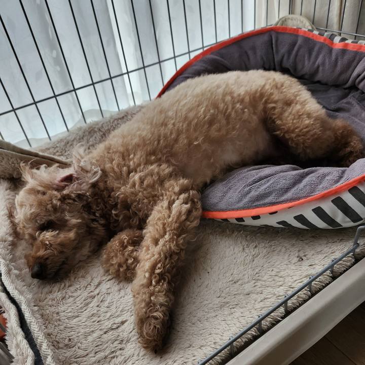 A18a2615 91ed 46db 8ece bfe5ad7a0e63 1771197262743