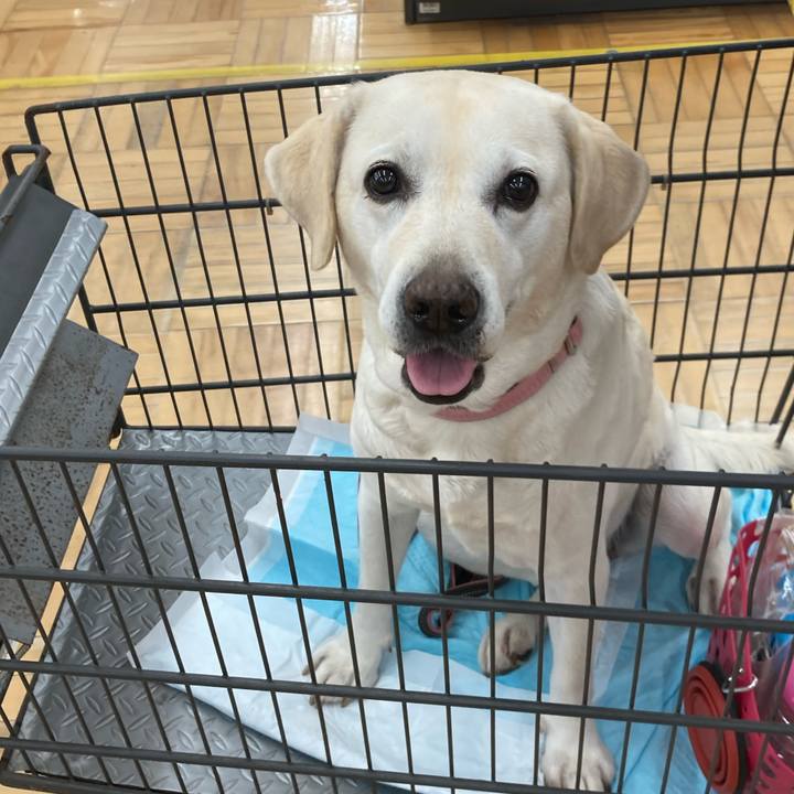 A18a6c7b 4c5d 4b7d 9262 95b8d9a8d317 1750862446320