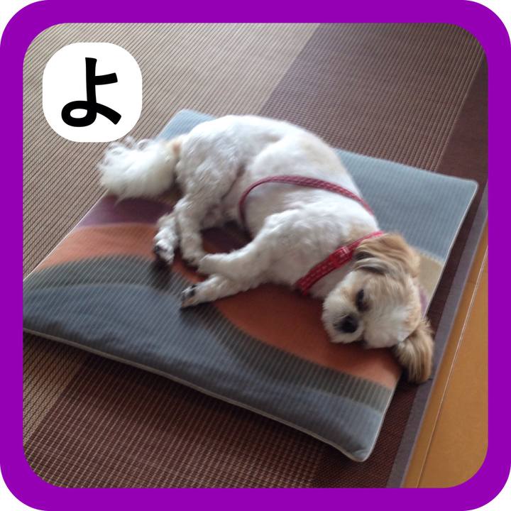 A18a91b1 ffae 43d2 b273 2a6e62cb3107 1515048095172